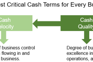 Cash Velocity and Cash Quality are the Two Most Critical Cash Terms in Business