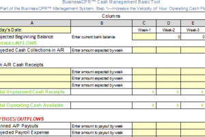 Cash Management Excel Tool