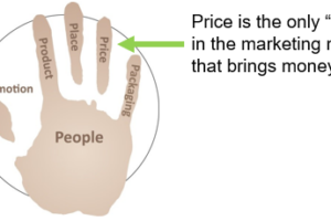 Price is the only element in the marketing mix that brings in money