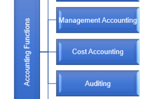 Function of Accounting