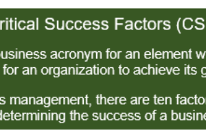 Management Critical Success Factors Defined
