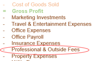 Professional Fees Defined