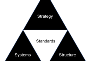 Strategy, Structure, Systems, and Standards Defined