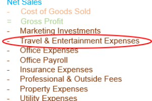 Travel & Entertainment (T&E) Expenses Defined