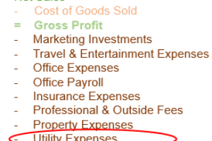 Utility Expenses