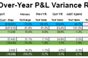 Variance Reporting, P&L Year-Over-Year Defined